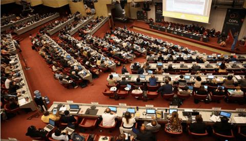 ASSISES DES CONFERENCES DES PARTIES DES CONVENTIONS DE BALE, ROTTERDAM ET STOCKHOLM Genève, du 1er au 10 mai 2019